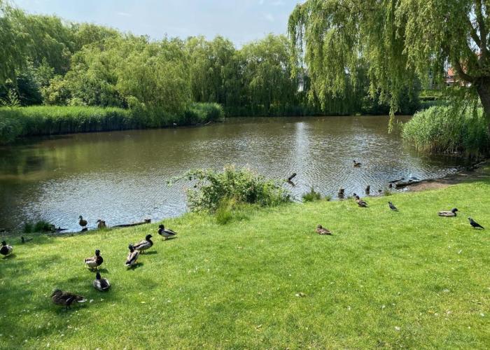 Charming Apartment with Lake View, Tennis Court- 5 Minutes from Odense Center