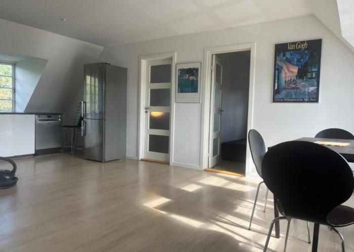 Charming Apartment with Lake View, Tennis Court- 5 Minutes from Odense Center