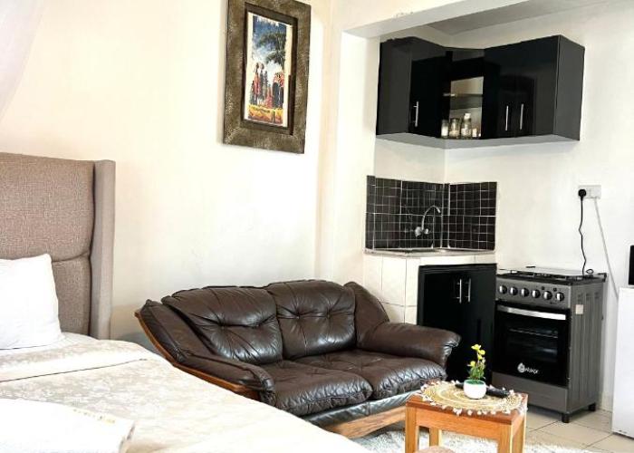 Spacious studio Apt Milimani