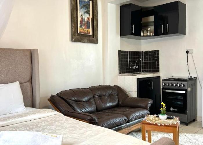 Spacious studio Apt Milimani