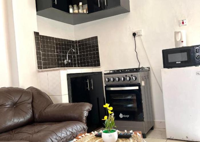 Spacious studio Apt Milimani
