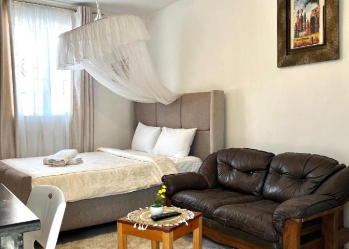 Spacious studio Apt Milimani