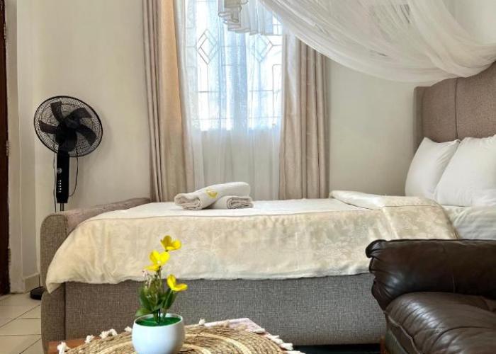 Spacious studio Apt Milimani