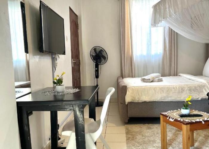 Spacious studio Apt Milimani