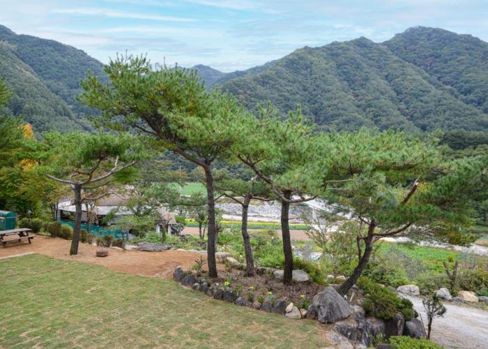 Pyeongchang The Meomum Pension