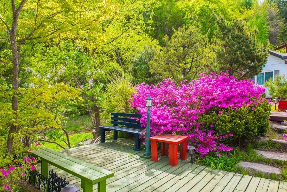 фото Pyeongchang Zermatt Pension Family, Couple