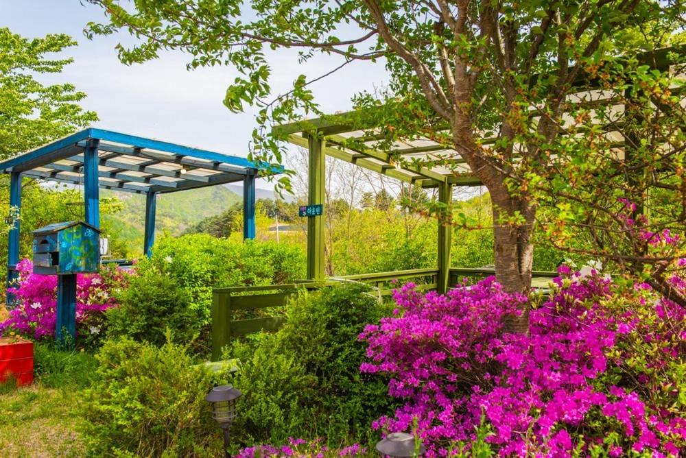 фото Pyeongchang Zermatt Pension Family, Couple