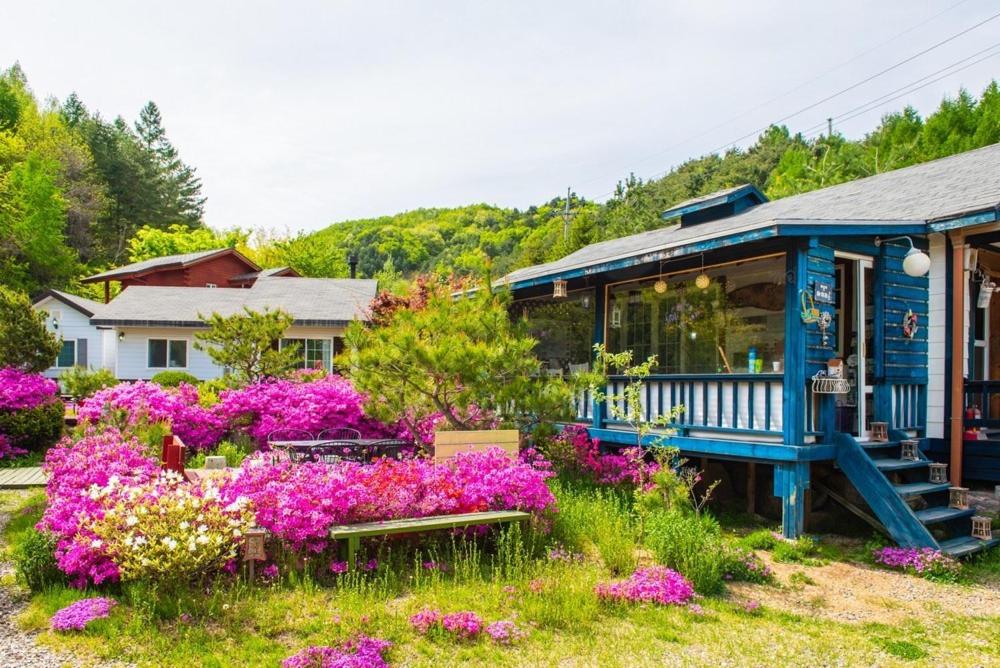 фото Pyeongchang Zermatt Pension Family, Couple