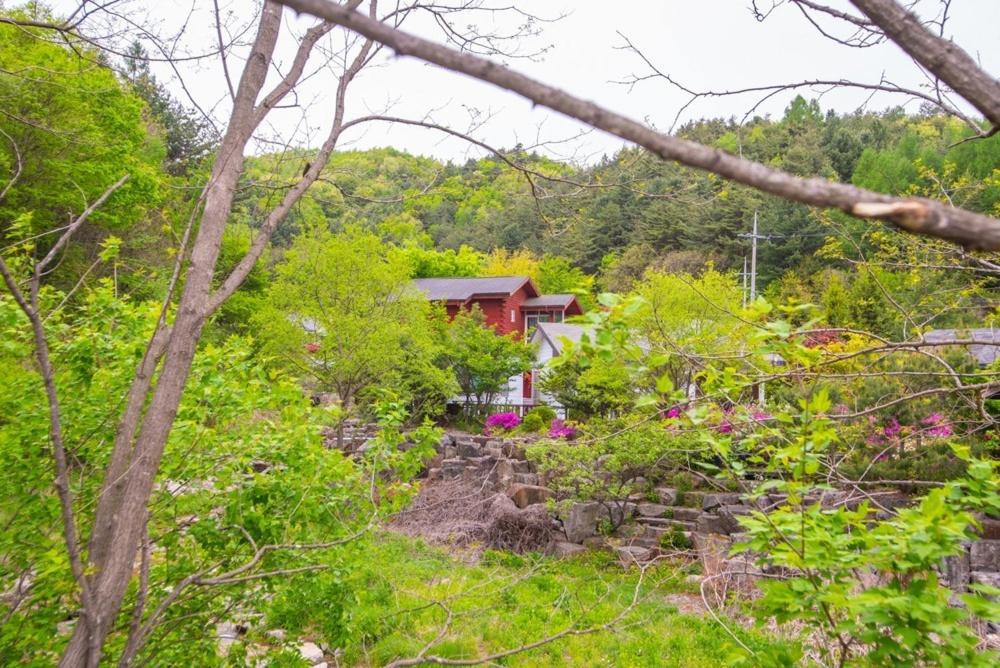 фото Pyeongchang Zermatt Pension Family, Couple