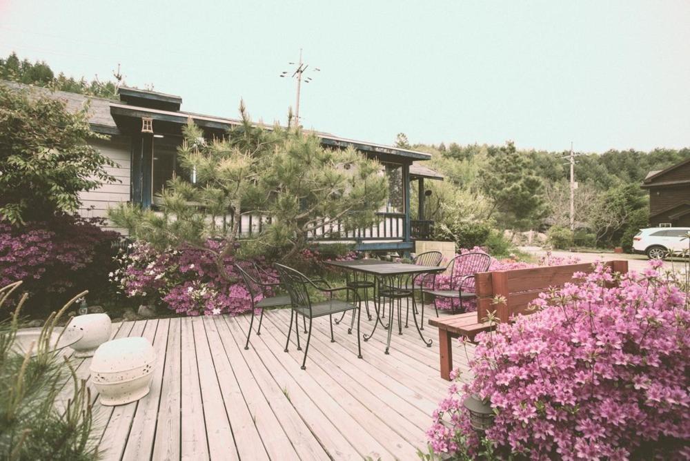 фото Pyeongchang Zermatt Pension Family, Couple