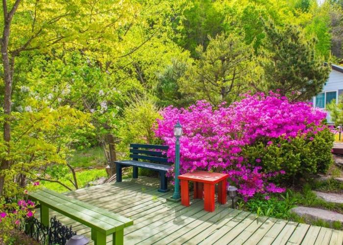 Pyeongchang Zermatt Pension Family, Couple