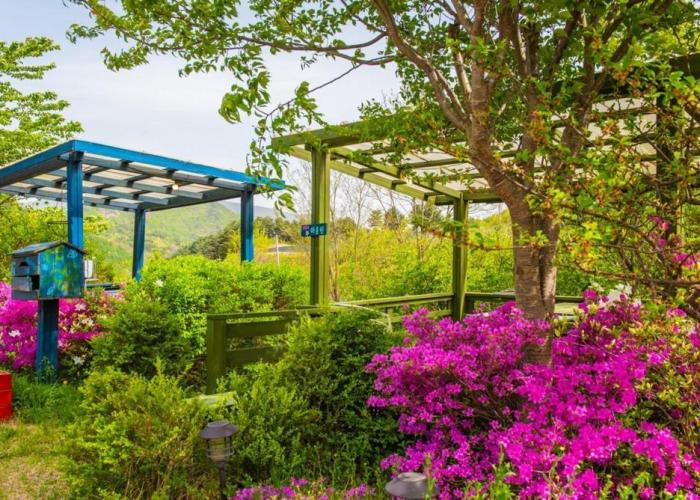 Pyeongchang Zermatt Pension Family, Couple