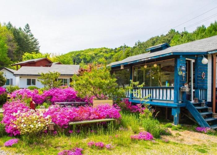 Pyeongchang Zermatt Pension Family, Couple