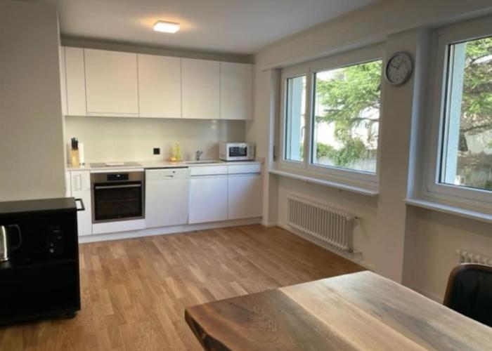 Sunny and very central 2BR flat - Sky8