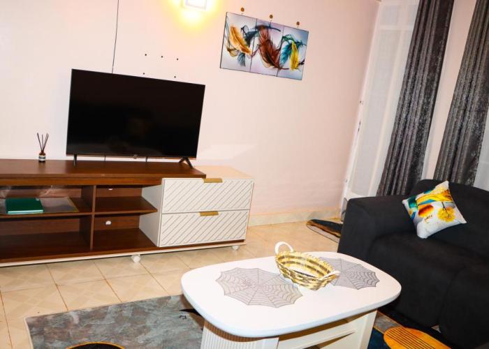 Texas Homes Meru 1 and 2 Bedroom Apartments