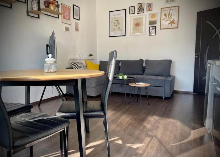 Cozy APT Free Parking Wi-Fi Netflix