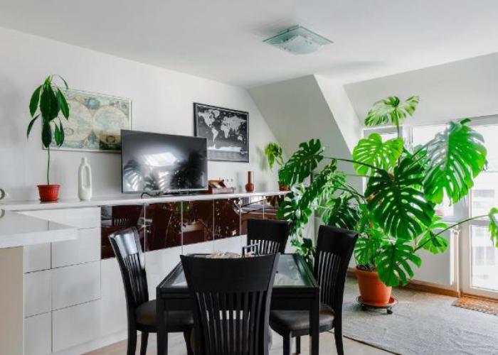 Spacious 2BD Flat with Secure Free Parking