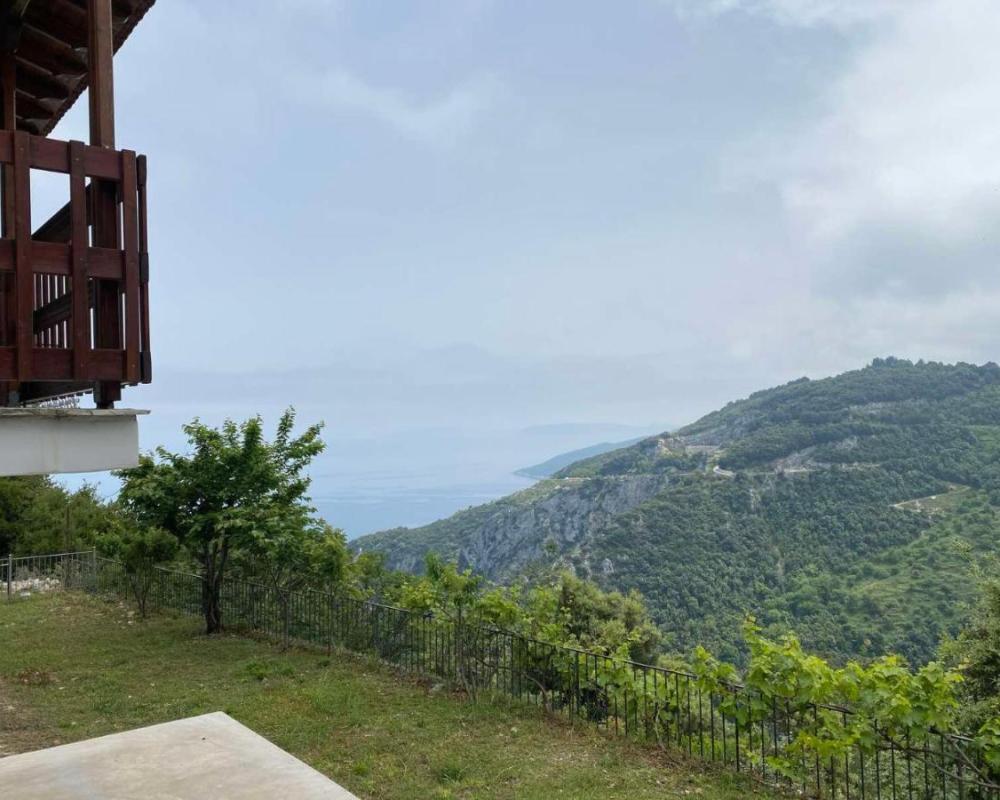фото Panorama