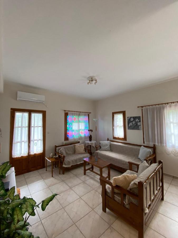 фото Panorama
