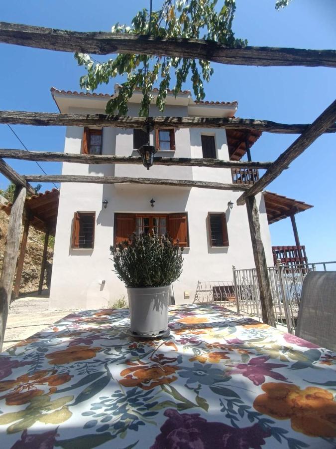 фото Panorama