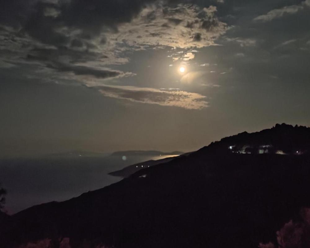 фото Panorama