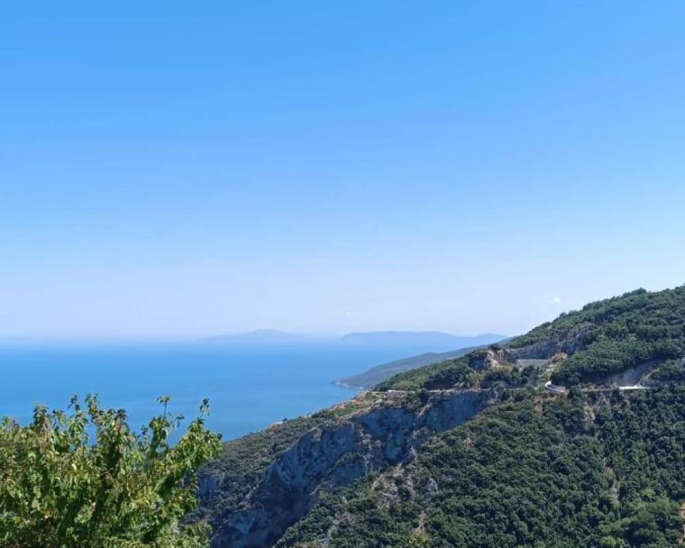 фото Panorama