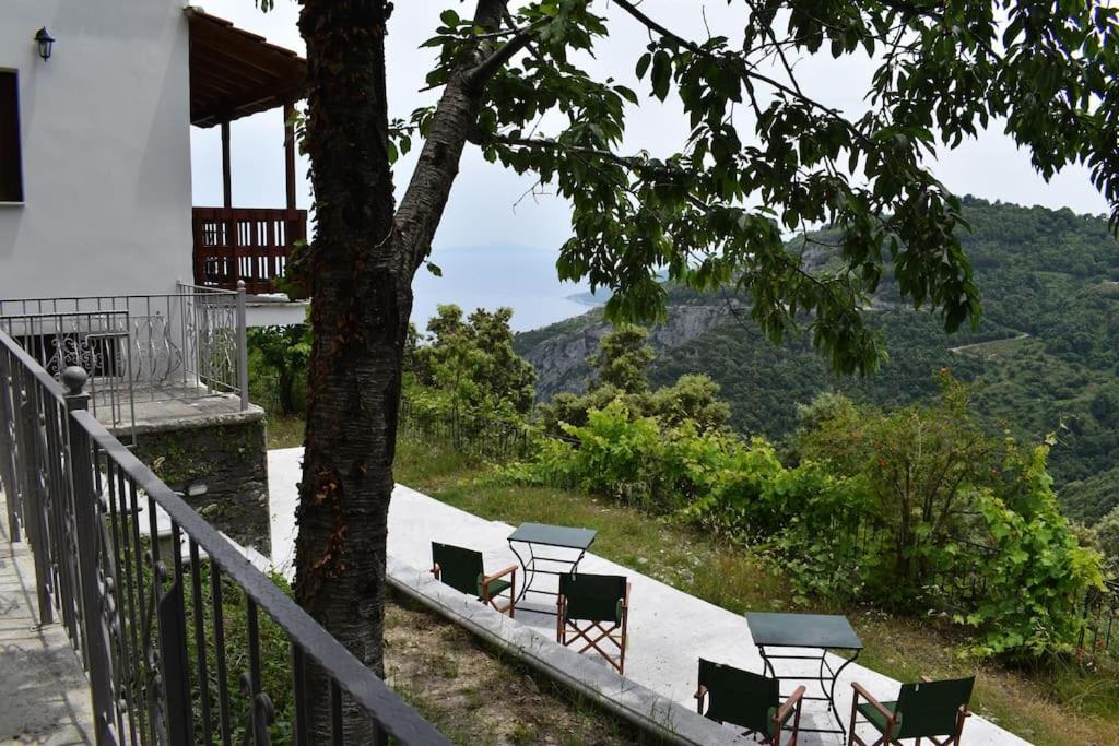 фото Panorama