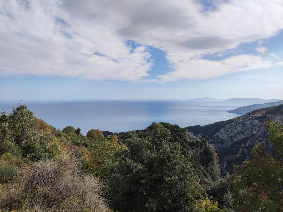 фото Panorama
