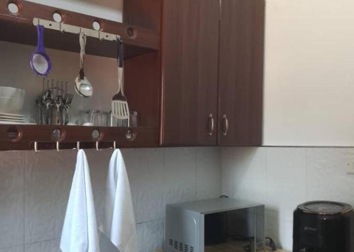 Palm Suites