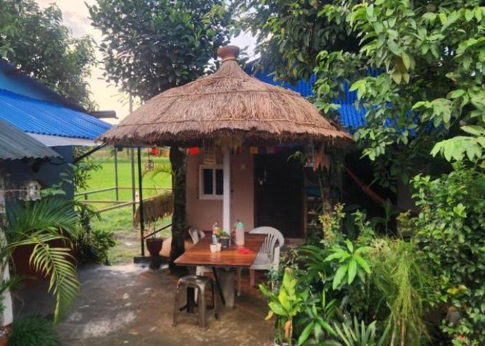 Wildflow jungle yoga safari and homestay