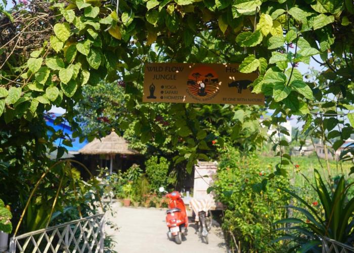 Wildflow jungle yoga safari and homestay