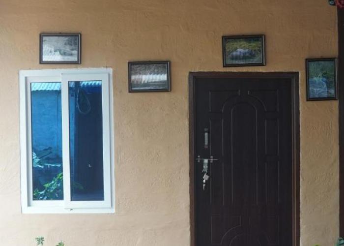 Wildflow jungle yoga safari and homestay