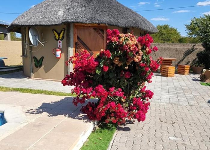 Stegor holiday home