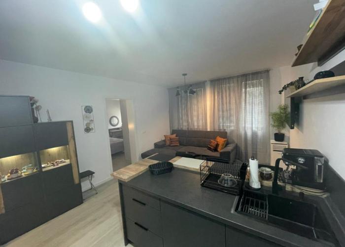 Apartment Apartament-DEMIAN