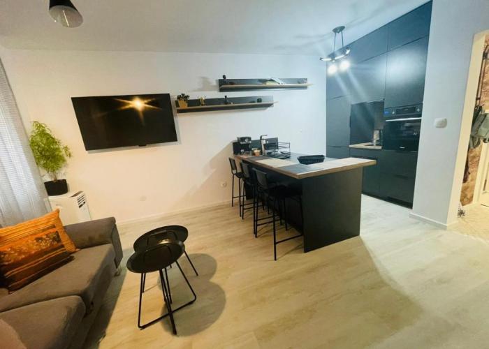 Apartment Apartament-DEMIAN