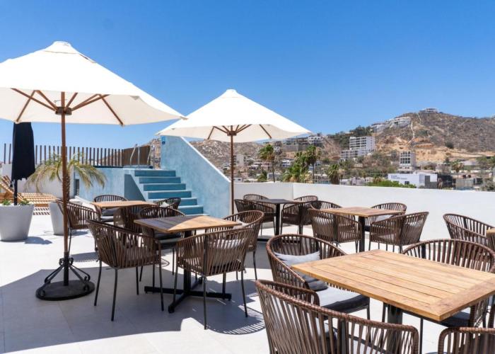 Colmena Marina Cabos
