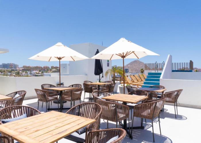 Colmena Marina Cabos