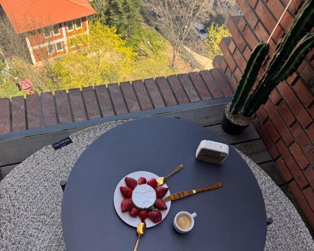 фото Sofia Rooftop Red Apple