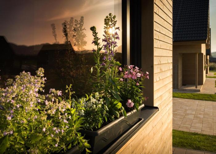 Holiday homes Forest360