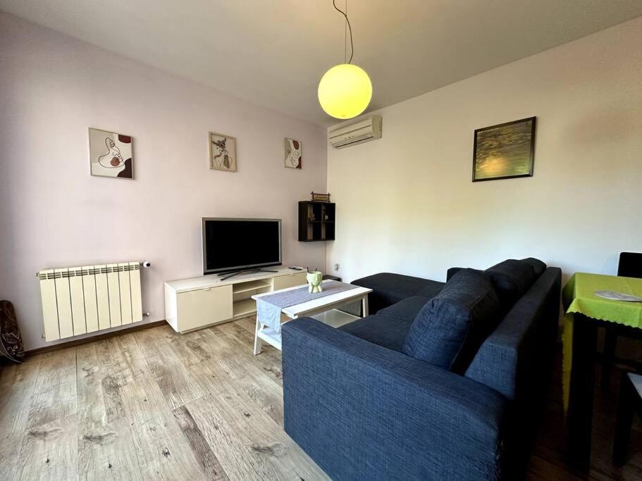 фото Cozy flat in central Sofia