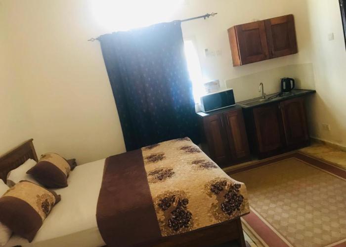One Bedroom Studio Apartment SS4-SALIEU