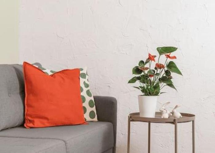 Trendy Urban Nest - Sofia Center