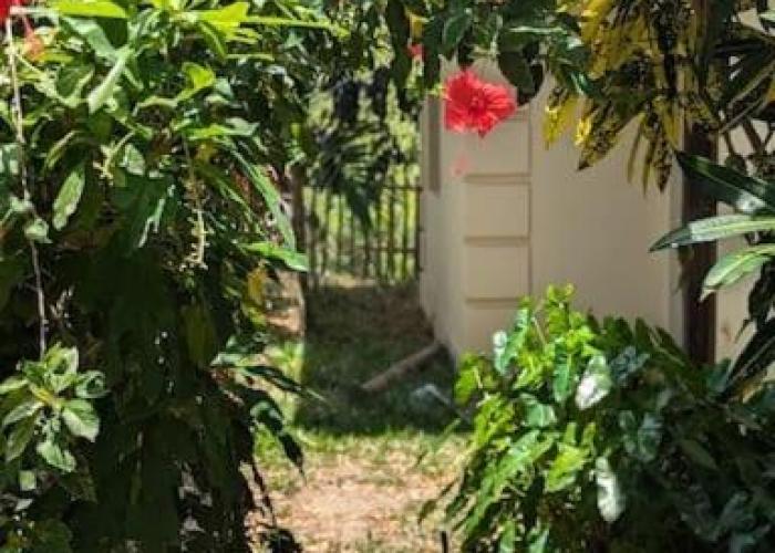 Holiday homes Mkilifini-House