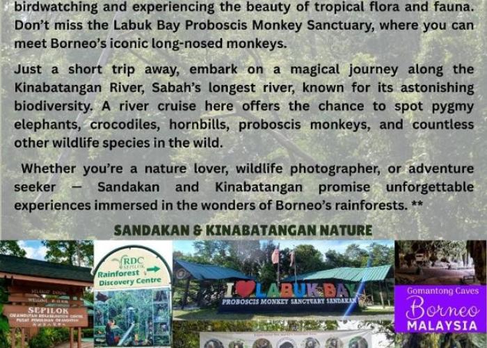 Sandakan Homestay & Backpackers