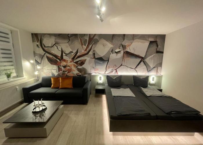HarzFokus - Freshnest #Netflix#Wlan#Zentrum