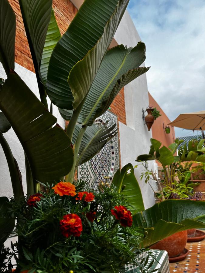 фото Casa Indigo