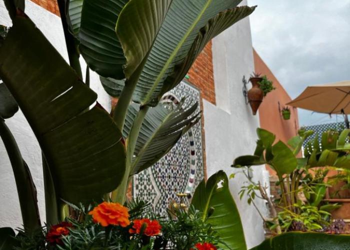 Casa Indigo