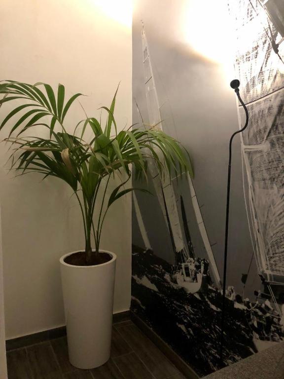 фото Nautilus