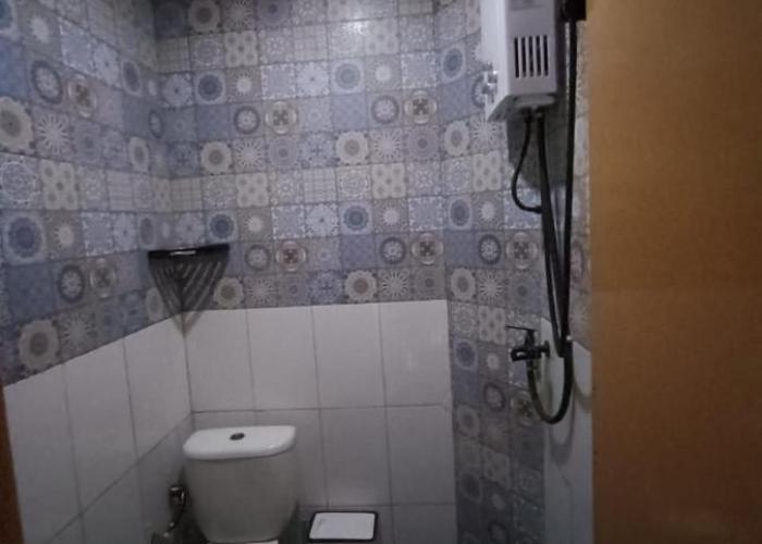 Oryza villa