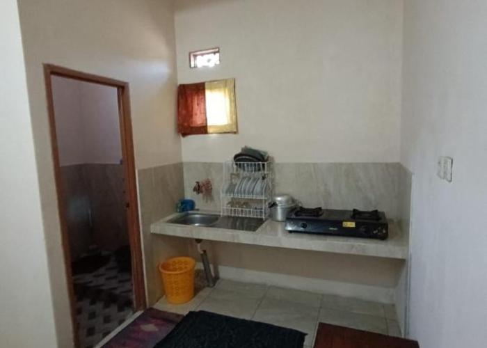 Oryza villa